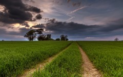 Desktop wallpaper. Nature. ID:80873