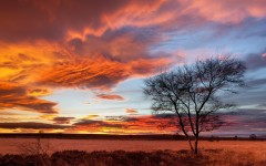 Desktop wallpaper. Nature. ID:81026