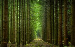 Desktop wallpaper. Nature. ID:81105