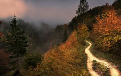 Desktop wallpaper. Nature. ID:81375