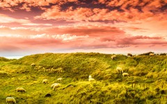 Desktop wallpaper. Nature. ID:81452