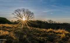 Desktop wallpaper. Nature. ID:81466