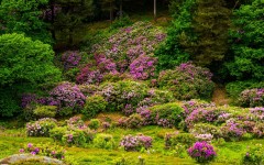 Desktop wallpaper. Nature. ID:81518