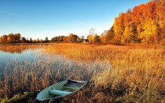 Desktop wallpaper. Nature. ID:81561