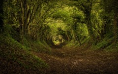 Desktop wallpaper. Nature. ID:81714