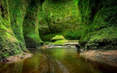 Desktop wallpaper. Nature. ID:81947