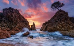 Desktop wallpaper. Nature. ID:82264