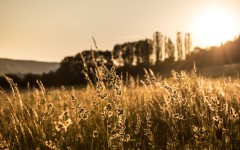 Desktop wallpaper. Nature. ID:82275