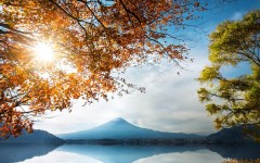 Desktop wallpaper. Nature. ID:82413