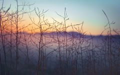 Desktop wallpaper. Nature. ID:82439