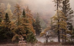 Desktop wallpaper. Nature. ID:82536
