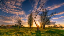 Desktop wallpaper. Nature. ID:93525