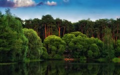 Desktop wallpaper. Nature. ID:83017