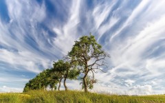 Desktop wallpaper. Nature. ID:83136