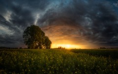 Desktop wallpaper. Nature. ID:83271