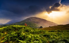 Desktop wallpaper. Nature. ID:83275