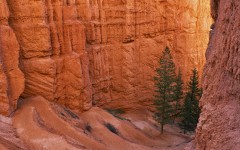 Desktop wallpaper. Nature. ID:83364