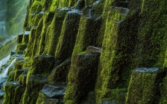 Desktop wallpaper. Nature. ID:83416