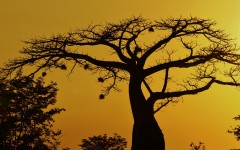 Desktop wallpaper. Nature. ID:83498