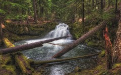 Desktop wallpaper. Nature. ID:83649