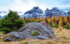 Desktop wallpaper. Nature. ID:83670