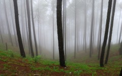 Desktop wallpaper. Nature. ID:83728