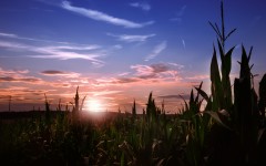 Desktop wallpaper. Nature. ID:83831