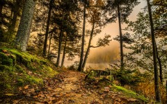 Desktop wallpaper. Nature. ID:83860