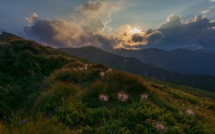 Desktop wallpaper. Nature. ID:83901