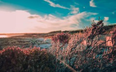 Desktop wallpaper. Nature. ID:83976