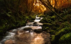 Desktop wallpaper. Nature. ID:84364
