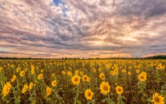 Desktop wallpaper. Nature. ID:84483