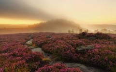 Desktop wallpaper. Nature. ID:84918