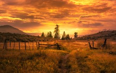 Desktop wallpaper. Nature. ID:85105