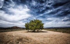 Desktop wallpaper. Nature. ID:85367