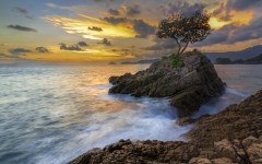 Desktop wallpaper. Nature. ID:85585