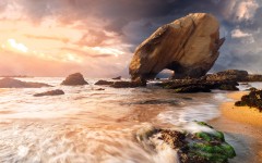 Desktop wallpaper. Nature. ID:85657