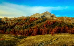 Desktop wallpaper. Nature. ID:85769