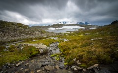 Desktop wallpaper. Nature. ID:85960