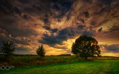 Desktop wallpaper. Nature. ID:85972
