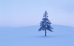 Desktop wallpaper. Nature. ID:86035