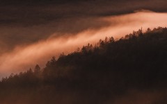 Desktop wallpaper. Nature. ID:86075