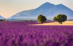 Desktop wallpaper. Nature. ID:86142
