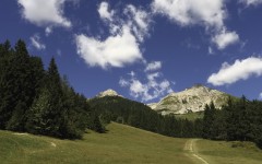Desktop wallpaper. Nature. ID:86262