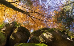 Desktop wallpaper. Nature. ID:86463