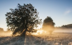 Desktop wallpaper. Nature. ID:86508
