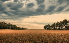 Desktop wallpaper. Nature. ID:86617