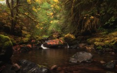 Desktop wallpaper. Nature. ID:86819