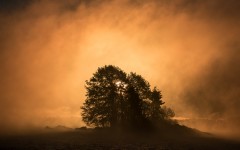 Desktop wallpaper. Nature. ID:86860