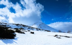 Desktop wallpaper. Nature. ID:86861